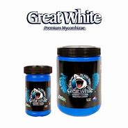 Image result for Great White Best of Album