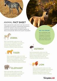 Image result for Did You Know Fact Sheet Template