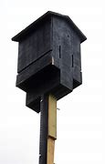 Image result for Best Place to Hang a Bat House