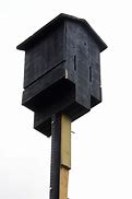 Image result for Best Place to Hang a Bat House