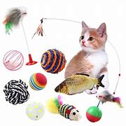 Image result for Kitten Toy Set