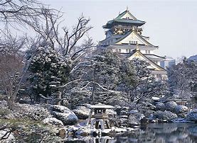 Image result for Osaka Castle Park Winter