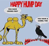 Image result for Hump Day Love Meme