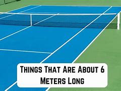 Image result for 6 Meters Long