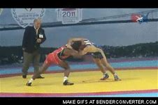 Image result for Freestyle Wrestling