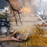 Image result for Thai Food Market