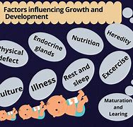 Image result for Growth and Development Images