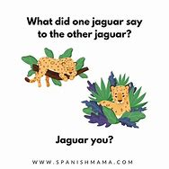 Image result for Jokes in Spanish for Kids