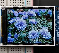 Image result for Color LCD Display