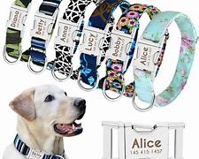 Image result for Dog Collars