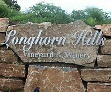 Image result for Longhorns Vineyard Vines