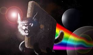 Image result for Nyan Cat Outer Space