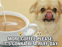 Image result for Dog and Coffee Memes