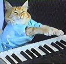 Image result for Piano Class Memes