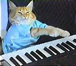 Image result for Piano Birthday Meme