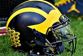 Image result for Michigan State Football Helmet FSU