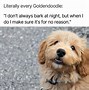 Image result for Humorous Doodle Dog Christmas Meme