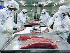 Swordfish Meat 的圖像結果