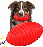 Image result for Best Extreme Dog Chew Toys
