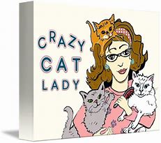 Image result for Crazy Cat Lady Art