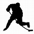 Image result for Ice Hockey Symbol