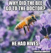 Image result for Bee Hive Meme