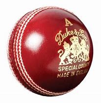 Image result for International Cricket Ball