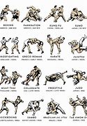 Image result for Types of Martial Arts List