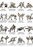 Image result for All Types of Martial Arts