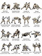 Image result for types of martial arts