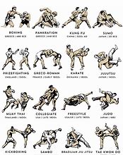 Image result for martial art styles by difficult