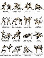 Image result for A List of All the Martial Arts