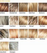 Image result for Level 8 Blonde Hair Color