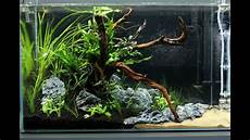 ada aquascape aquascape ada cube garden 60p a of mekong ada aquascape aquascape ada cube garden 60p a of mekong