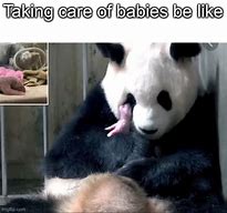Image result for Taking Care of Baby Meme
