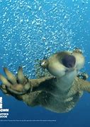 Image result for Sid the Sloth Water