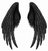 Image result for Anime Black Angel Wings