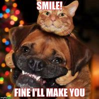 Image result for Happy Dog and Cat Meme