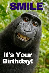 Image result for happy birthday humorous sayings