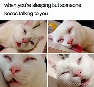 Image result for Sleep Mood Meme