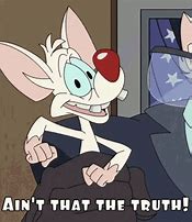 Image result for Pinky and the Brain Birthday Meme