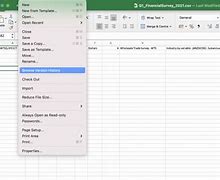 Image result for Excel Previous Versions