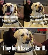 Image result for Dog Answering Phone Meme