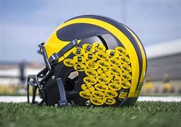 Image result for Michigan Football Helmet Logo