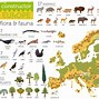 Image result for Caracteristicas De Europa