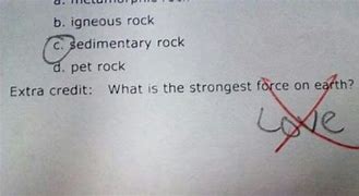 Image result for Funny Exam Answers