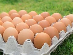 Image result for Brown Chicken Eggs