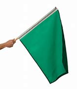 Image result for NASCAR Green-Flag