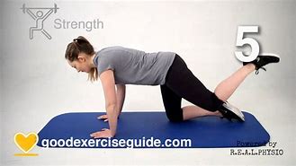 Image result for Arthritis Hip Pain Exercises