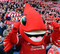 Image result for Liverpool Match Day Mascot